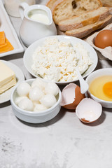 assortment of fresh dairy products, vertical top view
