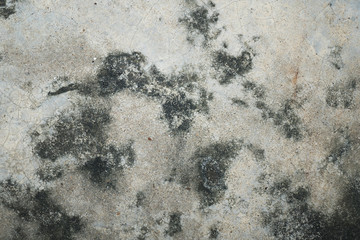 The old concrete floor.