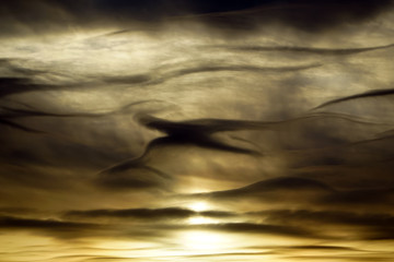 yellow overcast sky