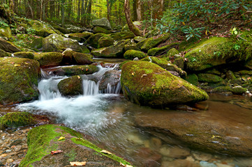 Green Moss Creek