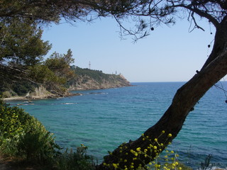 Cote de Méditerranée 