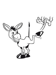 esel witzig treten tier muli lustig natur lustig ausschlagen vierbeiner muli grautier 1c