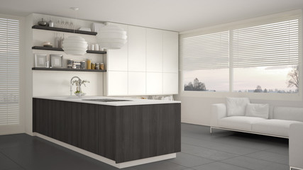 Modern white, gray and wooden kitchen with shelves and cabinets, sofa and panoramic window. Contemporary living room, minimalist architecture interior design