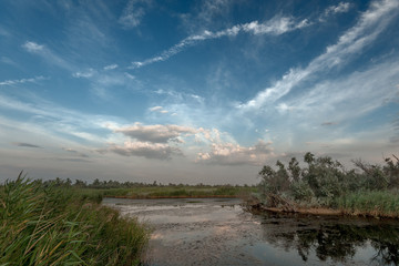 In still waters run deep ... Maybe ...