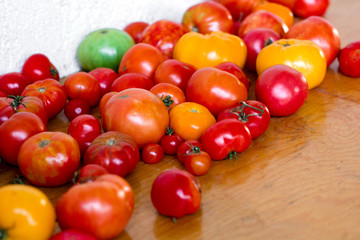 fresh juicy multicolored tomatoes on a wooden table on a farm