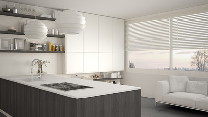 Fototapeta na wymiar Modern white and gray kitchen with shelves and cabinets, sofa and panoramic window. Contemporary living room, minimalist architecture interior design