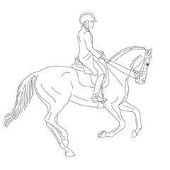 Simple outline of the dressage rider and horse performing canter. 