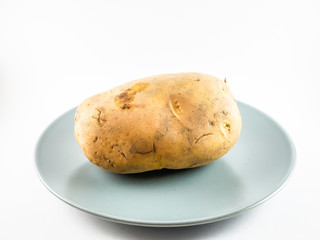 A Potato on White Background with Copy Space