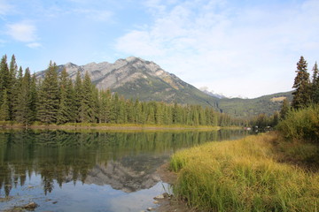 Fototapeta na wymiar September Morning On The Bow River, Banff National Park, Alberta