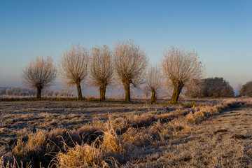Podlasie szronem malowane-Polska