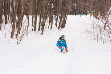 Fototapeta premium Jack Russell Terrier dog with owner woman playing in the winter outdoors.