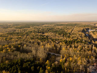 Aerial view of the landscape in the forest with green and yellow trees with a road in the middle of a clear autumn day under a blue sky