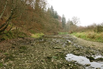 Das ausgetrocknete Flussbett bei der Donauversinkung in Immendingen (Kreis Tuttlingen)