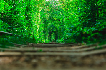 a railway in the spring forest tunnel of love