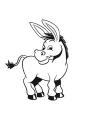 esel witzig lachen tier muli lustig natur baby kind vierbeiner muli grautier 1c