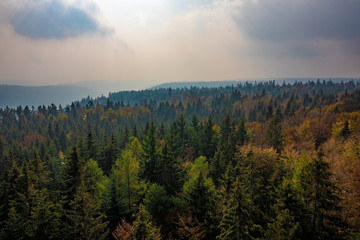 Black Forest in Germany