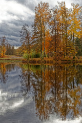 étang de Haute-Saône