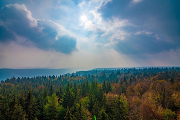 Black Forest in Germany