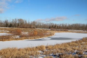 Snow On The Pond, Pylypow Wetlands, Edmonton, Alberta