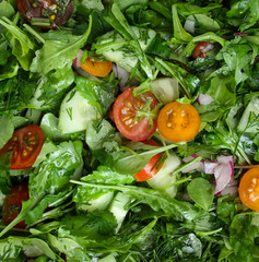 Fresh salad with tomatoes, rucola and cucumbers