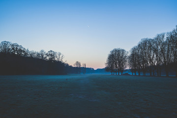 Fototapeta premium Morgennebel