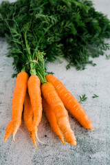 Bunch of Fresh Carrots with Green Tops