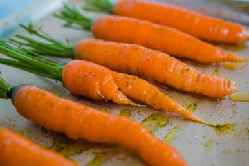 Bunch of Fresh Carrots with Green Tops