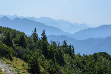 Blick in die Chiemgauer Alpen vom Hochfelln  im  Sommer nach Osten
