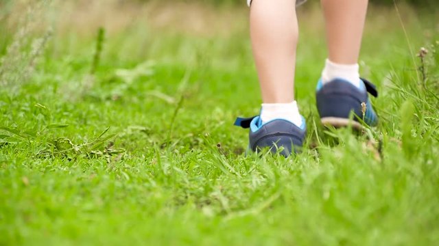 Legs of a child in sneakers are on the green grass, close-up.