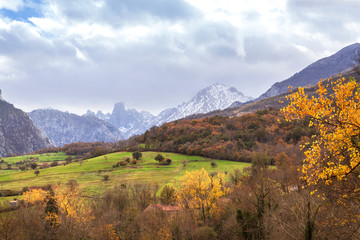 Obraz premium Paisaje otoñal de Cabrales desde el mirador de la Oración donde se ve el pico Urriellu