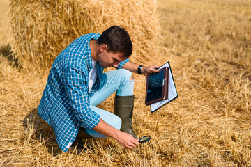 Naklejka na ściany i meble Man farmer agronomist sitting with a tablet and a magnifying glass on the field with hay, control, inspection, analysis, study
