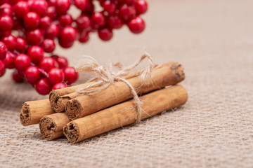 Winter Holidays decoration red poinsettia, pine and berry bush with cinnamon sticks tied with jute rope on burlap background