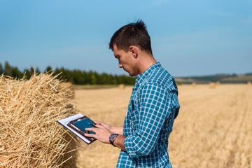 Naklejka na ściany i meble Farmer agronomist in the field uses tablet