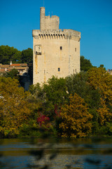 View of Tour Philippe Le Bel in France, Villeneuve lez Avignon
