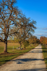 Herbst genießen