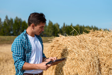 Naklejka na ściany i meble Young botanist man with tablet estimates the hay crop