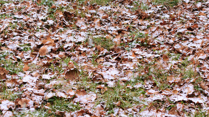 First snow in the park in october