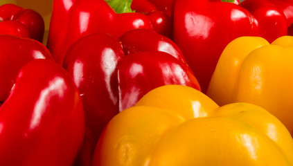 colorful mix of the freshest red and yellow paprika, bell pepper