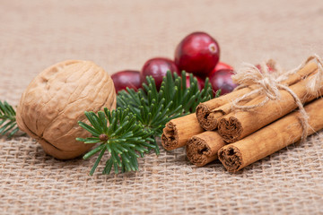 Winter holiday decoration: fraser fir twig, cinnamon sticks, walnut and cranberries on burlap background