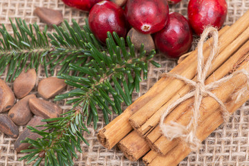 Winter holiday decoration: fraser fir twig, cinnamon sticks, cranberries and pine nuts in shell on burlap background