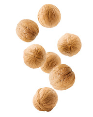 Falling walnut isolated on white background, clipping path, full depth of field