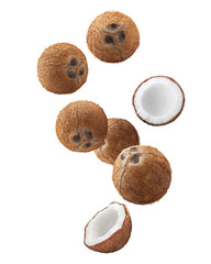 Falling coconut, isolated on white background, full depth of field, clipping path