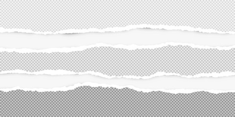 Squared ripped horizontal grey paper for text or message are on white background. Vector illustration