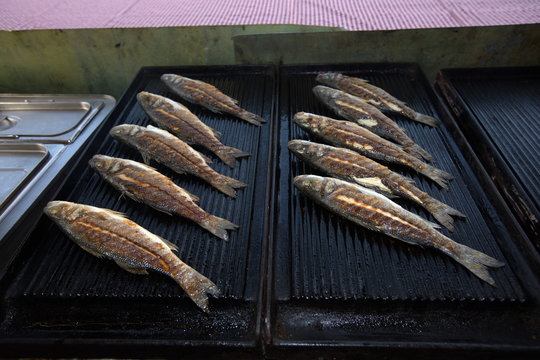 Seebarsch auf dem Grill