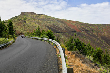 Vulkanische Landschaft mit Pinien bewachsen