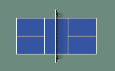Pickleball field. Top view vector illustration with grid and shadow