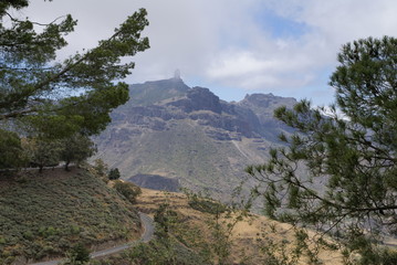 widok na góry - Gran Canaria 