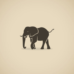 African elephant