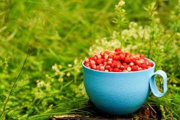 Fresh strawberries in a blue plastic Cup on a green background.