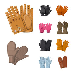 Isolated object of glove and winter symbol. Set of glove and equipment stock symbol for web.